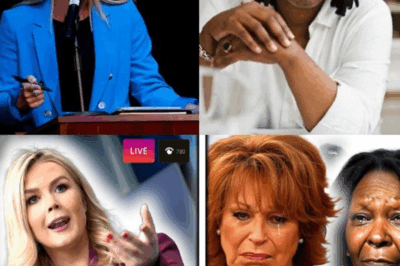 SHOCKING VICTORY: Karoline Leavitt Just Made History with $800 Million Win Against ‘The View’—ABC Forced to Take Unthinkable Action! The Internet Is Blown Away by This Unprecedented Legal Outcome!