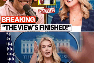 FOX NEWS DRAMA: Joe Rogan TAKES DOWN Sunny Hostin After Karoline Leavitt’s Explosive Lawsuit—The Shocking Fallout That Could Have DEVASTATING Consequences for The View! What Triggered Rogan’s Savage Attack, and How Will It Impact the Future of Daytime TV?