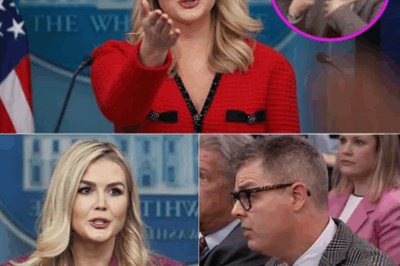 DISASTER ON AIR: Reporter FIRED for Disrespecting Karoline Leavitt on FOX News—The Shocking Fallout You Won’t Believe!”