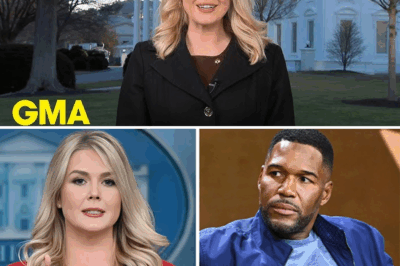 TV CHAOS EXPLODES: Karoline Leavitt’s BRUTAL Joke DESTROYS Michael Strahan, Fans ROAR With a Side-Splitting Nickname—You Won’t Believe the SAVAGE Hidden Meaning!