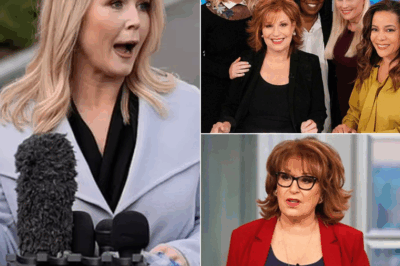 SHOCKING MOMENT: Karoline Leavitt’s Bold Attack on The View Has the Internet BUZZING—Fans Are Cheering and Social Media Is EXPLODING!”