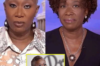 “UNBELIEVABLE: Joy Reid’s Husband EXPOSES Shocking Truth—‘She’s Preparing to Sue MSNBC’ After Sudden Firing! Fans Stunned by the Legal Showdown to Come!”
