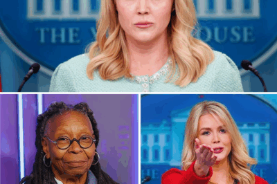 BREAKING: Karoline Leavitt Refuses to Back Down in $800 Million Lawsuit Against The View—Why ABC is Scrambling Behind the Scenes and What’s Really Happening with Whoopi and Joy’s Apologies! Are the Apologies a Last-Ditch Effort to Prevent a Media Crisis? Find Out Now! 💥👇