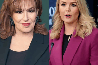 LIVE TV BOMBSHELL: Karoline Leavitt Calls for Immediate Boycott of ‘The View’—Crowd CHEERS Wildly as Internet Goes Berserk: “She Said What We Were All Thinking!”