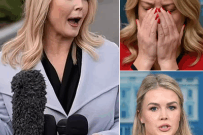 “LIVE TV CHAOS: Karoline Leavitt’s Controversial Attack Sparks MASSIVE Backlash—The Shocking Secrets Behind the Scenes That Will Leave You Speechless! What Happened Off-Camera Is Even More Explosive Than You Think!”