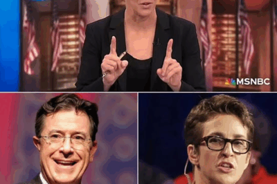 💥MSNBC IN CRISIS: Rachel Maddow EXPOSES Secret Details About Network Executives—Shocking Revelations Spark Panic and Set the Internet on Fire!