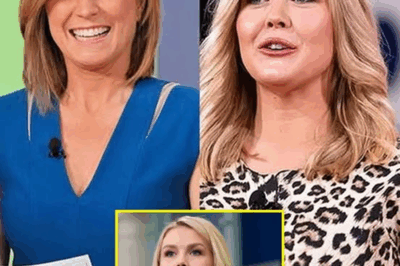 LIVE ON-AIR CHAOS: Nicolle Wallace’s Explosive Reaction to Karoline Leavitt’s Blunt Retort—The Moment That Left Viewers Stunned and the Studio in Frenzy! Is This the Most Intense TV Showdown of the Year?
