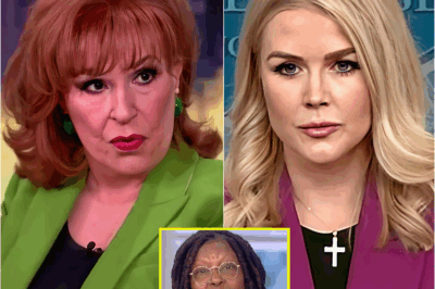 BREAKING: Karoline Leavitt CALLS FOR Boycott of The View LIVE On-Air—Viewers CHEER as She Makes Bold Demand! 😱🔥 “This is What We’ve Been Waiting For!”
