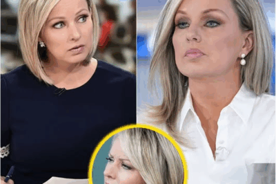 Sandra Smith’s Emotional Confession LIVE on Fox News—The Hidden Sacrifices of Her Career, Motherhood, and Choosing Truth Over Comfort Will Leave You Speechless! 😲👶