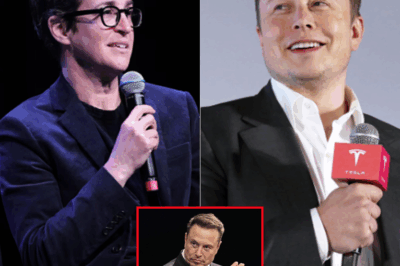 WOW! Rachel Maddow and Elon Musk Clash LIVE on TV—The Explosive Confrontation That’s Got Everyone Talking! What Was Said and Why It’s Going VIRAL!