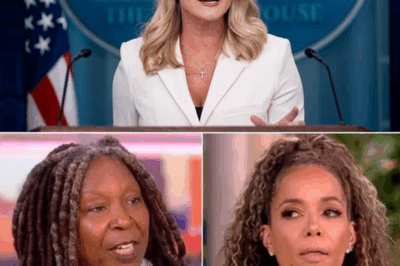 TOTAL MEDIA MELTDOWN: Karoline Leavitt’s $800 Million Lawsuit Shakes ABC, ‘The View’ & MSM to Their Core—What She Revealed in Court Has Journalists TERRIFIED! Could This Ruling Reshape the Future of News Forever? Find Out Why Everyone’s Talking About It!