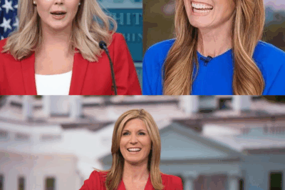 SHOCKING MSNBC MOMENT: Nicolle Wallace Loses It After Karoline Leavitt’s Blunt Response—The On-Air Chaos That Left Viewers Reeling!