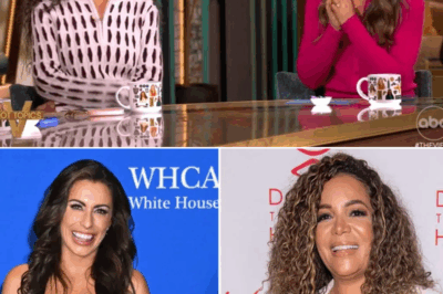 DAYTIME TV IN TURMOIL: Sunny Hostin DEFIES Pressure in Wake of BOMBSHELL Lawsuit—The View’s Set TURNS TOXIC as Legal Scandal Ignites On-Air Showdown!