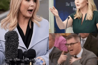 FOX NEWS FURY: Reporter Attacks Karoline Leavitt LIVE—Then Gets FIRED on the Spot After Her Savage Response Shakes the Studio! The Moment America Watched in Shock as She Took Back the Mic and Took Him Down. What Happened Will Leave You Speechless!
