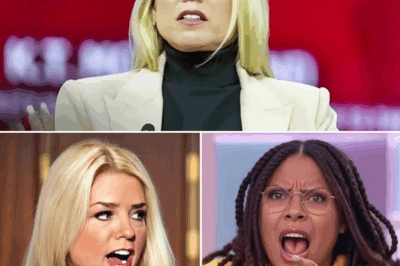 Pam Bondi SHATTERS The View Live—A Single Line Leaves Hosts Frozen, Audience Gasping, and Producers Scrambling!