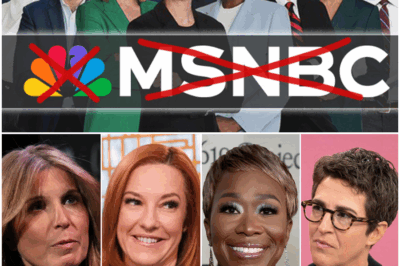 “MSNBC EXPLOSION: On-Air Legend LEAVES Amid Chaos—’I Couldn’t Take It Anymore’—Is This the FIRST of Many Departures as Ratings Plunge and Staff Shrinks?” In a stunning move that has left MSNBC viewers reeling, an on-air legend has announced their departure from the network, citing the chaos behind the scenes as the primary reason. “I couldn’t take it anymore,” they said in a tearful goodbye, fueling speculation about the network’s future. With ratings in decline and staff shrinking, is this the first of many exits? What does this mean for MSNBC’s future, and how will this shake-up impact its programming? Get the full story behind the shocking exit and what it reveals about the challenges facing the network.