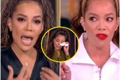 🔥 CHAOS ON ‘THE VIEW’: Sunny Hostin Takes Bold Stand Amid Explosive Lawsuit Scandal—Fans and Critics Stunned by Jaw-Dropping Revelations! In an Unforgettable Live Moment, Hostin Unveils Shocking Truths That Shatter the Studio and Ignite Social Media Frenzy! Why Has This Controversial Event Captured America’s Attention? Dive Into the Full Story Behind the Controversy Everyone’s Talking About and Discover the Stunning Secrets Sunny Hostin Revealed—You Won’t Believe What’s Coming Next!
