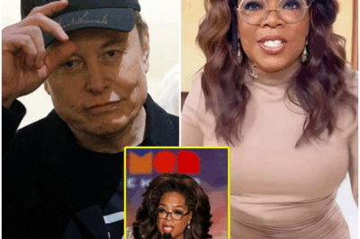 🔥SHOCKING ANNOUNCEMENT: Oprah Winfrey Abruptly Cancels Legendary Show—Blames Elon Musk, Declares She’s Leaving America Forever! Millions Speechless as Media Icon Drops Stunning News That Shakes Hollywood to Its Core. Fans and Celebrities Alike Scramble for Answers: What Did Musk Do to Spark Oprah’s Dramatic Exit? Insiders Leak Explosive Behind-the-Scenes Details as Speculation Runs Wild! Discover the Unbelievable Reason Behind Oprah’s Sudden Departure—The Truth Revealed!