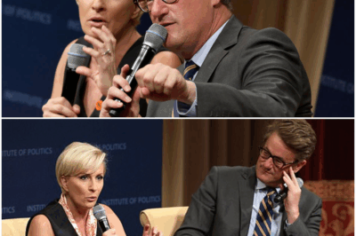 “SHOCKING REVEAL: Joe Scarborough and Mika Brzezinski’s 20-Year Relationship—The Surprising Reason They Haven’t Had Children Together!” Joe Scarborough and Mika Brzezinski’s relationship has been the subject of much public fascination over the years. Known for their high-profile partnership both in the political sphere and on Morning Joe, the couple has built a strong bond over nearly two decades. Engaged in May 2017, with Scarborough being the father of four children and Brzezinski the mother of two daughters from a previous marriage, the couple’s family dynamic seemed complete. Yet, despite their longstanding relationship, Scarborough and Brzezinski have never had children together—a fact that has sparked endless speculation and curiosity among fans and critics alike.