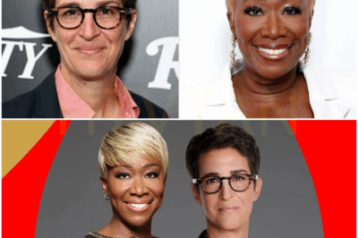 SHOCKING TV MOMENT: Rachel Maddow Stuns MSNBC Audience Live, Calls Network’s Decision to Let Joy Reid Go a ‘Disastrous Mistake’—The Explosive Moment Leaving Viewers Questioning MSNBC’s Future!