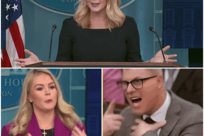 🔥💥BREAKING NEWS: Reporter FIRED After Insulting Karoline Leavitt LIVE On-Air—What Led to the Shocking On-Air Clash? Fans React as the Humiliating Moment Causes a Media Uproar! Why Did the Reporter Cross the Line, and How Did Karoline Leavitt Handle the Insult? Discover the Shocking Details of the Incident That Has the Entire News Industry Talking—What Happens Next Will Leave You Stunned!