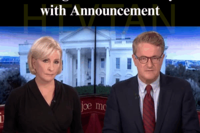 ‘We Could Be Fired Tomorrow’: ‘Morning Joe’ STUNS Everyone with Shocking Announcement About MSNBC’s Future!
