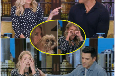 💥SHOCKING LIVE TV REVEAL: Kelly Ripa BREAKS DOWN On-Air After Mark Consuelos Drops Heartbreaking Family Bombshell—Why Did He Disappear for Six Months? The Emotional Announcement Stuns Viewers as Consuelos Reveals the Personal Tragedy Behind Their On-Air Tension. What Happened Behind the Scenes to Cause Such Devastation? Get the Full Story Behind the Shocking Secret That Left Everyone in Tears!