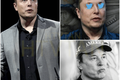 SHOCKING TWITTER SHOWDOWN: Elon Musk’s “Free Speech” Tweet Sparks CHAOS—Is He Truly Defending Free Speech, or Is There a Hidden Agenda at Play?