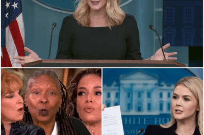 FOX NEWS SHOCKER: Karoline Leavitt DEMANDS a Boycott of The View LIVE On-Air—Fans Erupt in Applause, Flooding Social Media With Praise: “Finally Someone Said It!” What Sparked This Bold Demand, and Why Are Viewers Celebrating Leavitt’s Courageous Stand? The Moment That Left The View Panel Speechless and the Internet Buzzing—Find Out What Led to This Explosive TV Moment!