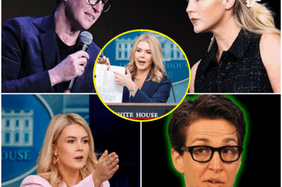 MEDIA EARTHQUAKE: Rachel Maddow SHATTERS Karoline Leavitt LIVE On-Air After Explosive FAKE RECORDING Scandal Exposed—Viewers Left Stunned by Brutal Takedown! Why Did Leavitt Risk Everything With a Doctored Tape? Uncover the Jaw-Dropping Truth Behind Maddow’s Fiery Confrontation That Exposed a Dark Deception, Sent Social Media into Frenzy, and Could Destroy Leavitt’s Career Forever. The Scandal Everyone’s Talking About—Find Out What Really Happened NOW!