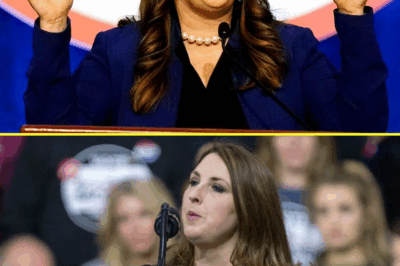 LIVE SHOCKER: MSNBC Anchor QUITS on-Air with Explosive Statement—”I Just Couldn’t Take It!” Is This the Beginning of MSNBC’s Collapse?