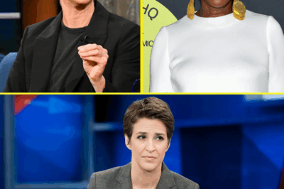 MEDIA EARTHQUAKE: Rachel Maddow DEFENDS Fired Joy Reid in SHOCKING Statement—Her Words Send MSNBC Into Freefall! What She Said Has Fans Outraged and Executives Scrambling to Control the Fallout!