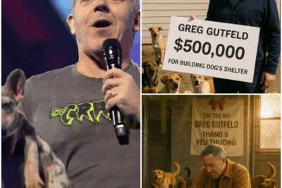 “Greg Gutfeld’s Shocking $500,000 Donation to Save Stray Dogs—The Hidden Sanctuary He Created Is Turning Heads and Saving Lives in the Most Unexpected Way!”