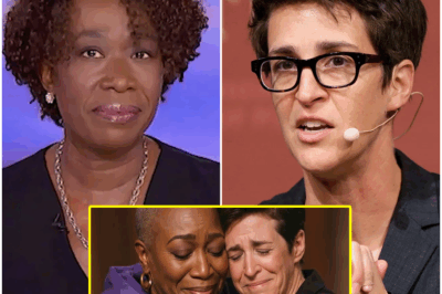 RACHEL MADDOW BREAKS SILENCE AGAINST MSNBC—THE SECRET SOLIDARITY THAT COULD DESTROY THE NETWORK’S AGENDA! Rachel Maddow is speaking out once again, but this time, it’s not just about her personal departure—it’s about a powerful act of solidarity that’s silently taking down MSNBC’s controversial agenda. Months after Maddow courageously called out the network for canceling shows hosted by non-white anchors like Joy Reid and Alex Wagner, she’s revealed a surprising behind-the-scenes alliance that’s shaking up the system. What is this new coalition, and how is it directly challenging the very forces that tried to silence these influential voices? The truth behind Maddow’s quiet rebellion will leave you questioning everything.