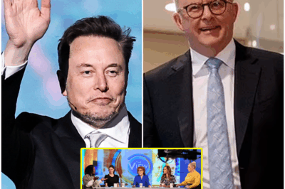 BREAKING: ELON MUSK MAKES A SHOCKING MOVE—$790 MILLION PURCHASE OF ABC*C AND CANCELS “THE VIEW” AFTER REPEATED INSULTS FROM CAST AND GUESTS!  In an unprecedented move that’s sending shockwaves through the media world, Elon Musk has officially acquired ABC*C for a staggering $790 million. But that’s not all—Musk made headlines by immediately canceling The View, citing repeated insults directed at him by the show’s cast and guests. “THIS TOXIC SHOW NEEDS TO STOP,” Musk declared. What led to this bold decision, and how will this move shake up the TV landscape? The full story behind Musk’s shocking takeover and his cancellation of The View is below. 😳👇