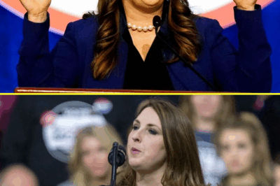MSNBC SHOCKER: Top Anchor QUITS LIVE on-Air—“I Couldn’t Take It Anymore!” The On-Air Resignation That Left Viewers and Colleagues Stunned. What Does This Sudden Exit Mean for MSNBC’s Future? Is This the Beginning of a Larger Collapse at the Network?