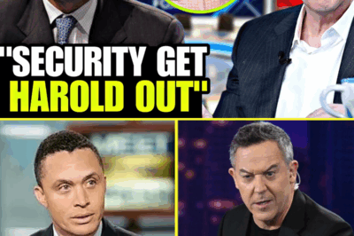 BREAKING FOX NEWS CHAOS: Harold Ford Jr. Physically ESCORTED From Studio After Violent Argument With Greg Gutfeld! Shocking Eyewitness Accounts Reveal What Happened When the Fight Escalated, Security Rushed In, and the Cameras Suddenly Went Dark. What’s the Truth Behind This Explosive Incident?