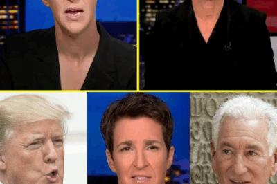MSNBC IN CRISIS: Rachel Maddow Abruptly QUITS—The Real Reason Behind Her Emotional Exit and What This Means for a Network Already Spiraling in Chaos and Declining Ratings!