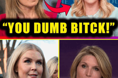 MSNBC MELTDOWN: Nicolle Wallace SNAPS After Karoline Leavitt’s Brutal Clapback—Live On-Air Breakdown Sends Shockwaves Through Studio! What Happened That Left Viewers Stunned and Producers Speechless?