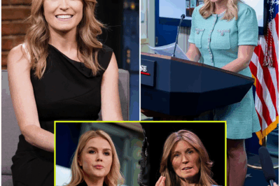 LIVE TV MELTDOWN: Nicolle Wallace SNAPS After Karoline Leavitt’s Brutal Comeback—MSNBC Studio in CHAOS as Host’s Furious Outburst Stuns Millions! The Shocking Retort That Sent Wallace Spiraling—What Did Leavitt Say to Ignite the Most Explosive Moment in TV History?