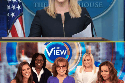 TOTAL MEDIA MELTDOWN: Karoline Leavitt’s $800 Million Lawsuit Shakes ABC, ‘The View’ & MSM to Their Core—What She Revealed in Court Has Journalists TERRIFIED! Could This Ruling Reshape the Future of News Forever? Find Out Why Everyone’s Talking About It!