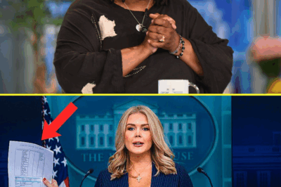 BOYCOTT BOMBSHELL: Karoline Leavitt DEMANDS Viewers Turn Off The View Live—Crowd ERUPTS as Her Scathing Critique Sparks a Social Media Uprising That Has ABC Executives in Panic Mode!