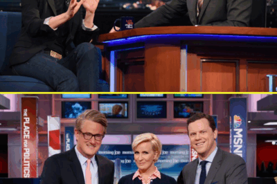 EXCLUSIVE: MSNBC’s Shocking Shakeup—Find Out Which TWO BIG STARS Survived the BLOODBATH as Ratings Plunge and Firings Rock the Network!”