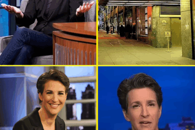 MSNBC SHOCKER: Rachel Maddow FINALLY Reveals Why She Walked Away—Explosive Interview Unmasks Network Drama, Mental Toll, and Hidden Life That Forced Her to Quit After 20 Years On Top!