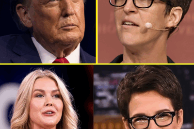 TV SHOWDOWN EXPLODES: Karoline Leavitt SCORCHES Rachel Maddow—“How Could You Be So STUPID?” The Brutal Moment That Shattered the Interview and Left Viewers in SHOCK! What Really Happened Between These Media Titans?