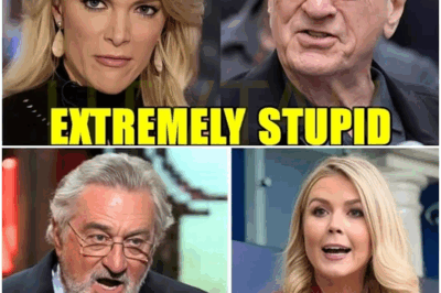 An 81-year-old Hollywood legend went head-to-head with a 27-year-old Gen Z spokesperson live on Fox News — and something no one expected happened. When he roared like a real-life “Godfather,”
