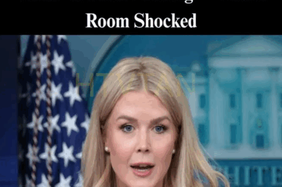 Karoline Leavitt Brings Out ‘Special Guest’ to Press Briefing – Entire Room Shocked.