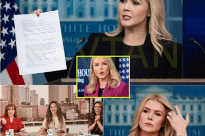 BREAKING:Karoline Leavitt SHUTS DOWN The View with a HILARIOUS Roast of Whoopi Goldberg—The Instant Comeback That Left the Panel in Shock! Fans Are Calling It the Funniest Takedown in Daytime TV History!