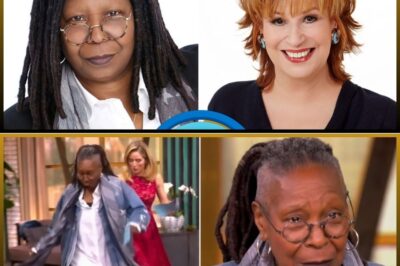 🚨 ABC CEO Calls for the End of ‘The View’: The Shocking Truth Behind the Rumors