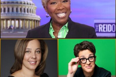 🚨Rachel Maddow EXPLODES Over Joy Reid’s Firing—Behind Closed Doors, a $25M Star Takes Aim at Rebecca Kutler,